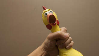 Rubber Chickens + Classic Song = Internet Gold 🎵