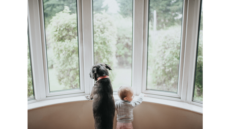 Dog and Baby staring out a large window