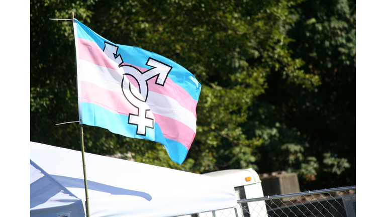 Transgender Flag Waving Against Trees