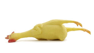 "Sounds Of Silence" On Rubber Chickens