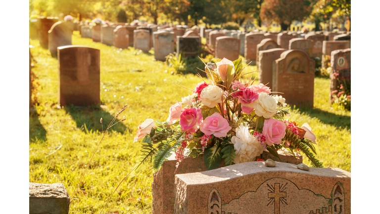 Roses in a cemetery with headstones