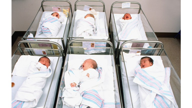 Babies in a hospital nursery
