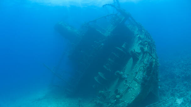 Diver Plunges 400 Feet Below Lake Michigan To See 1899 Shipwreck