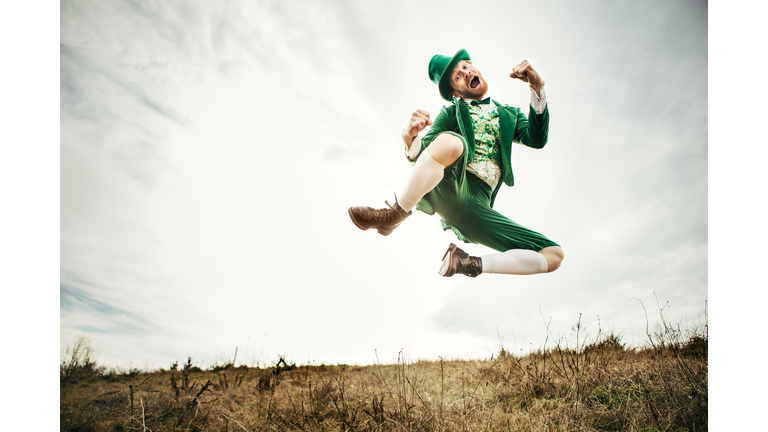 Leprechaun: The Fairy Shoemaker