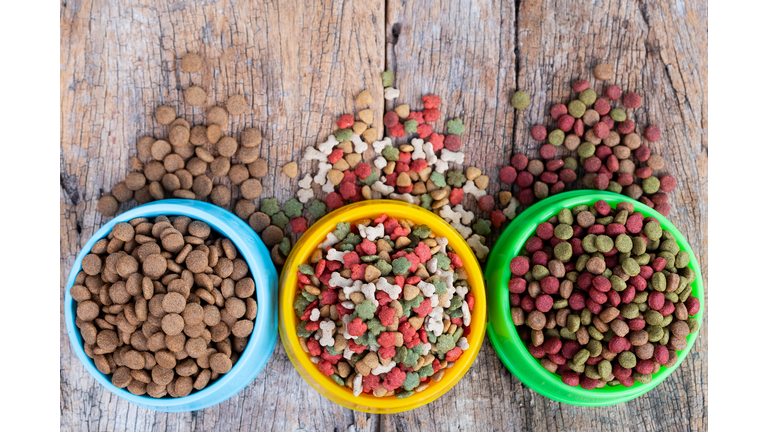 High Angle View Of Pet Food On Wooden Table