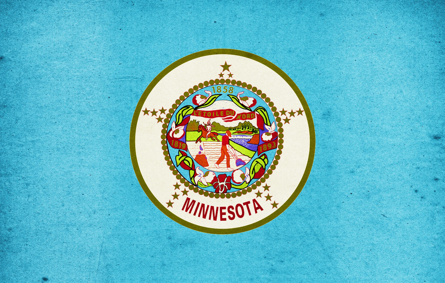 Minnesota Flag Close-Up (High Resolution Image)