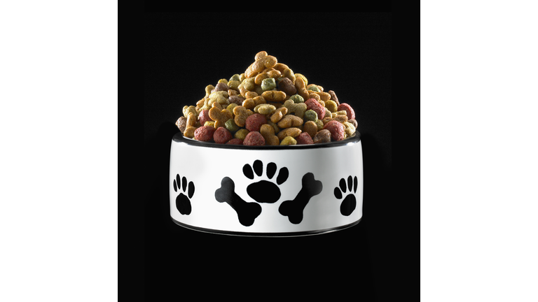 Bowl of dog food