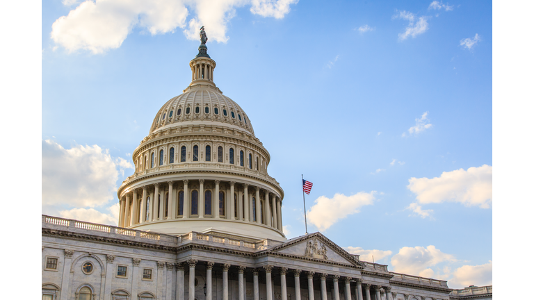 The United States Capitol