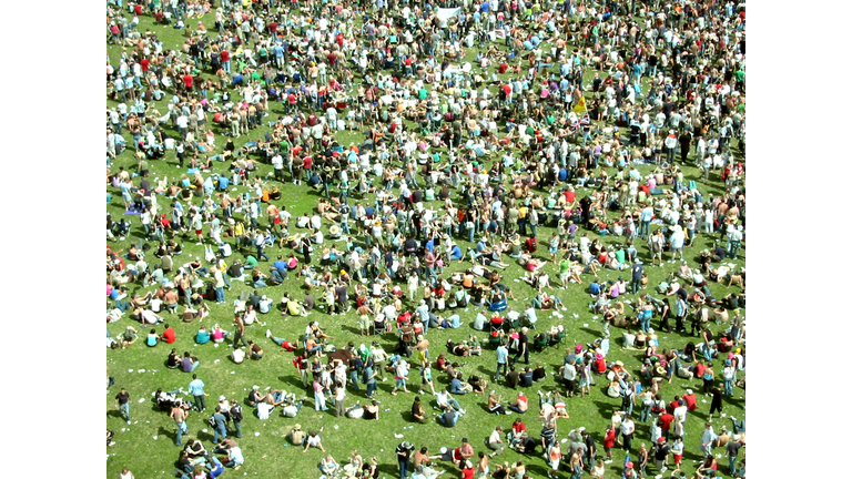 big festival crowd on grass