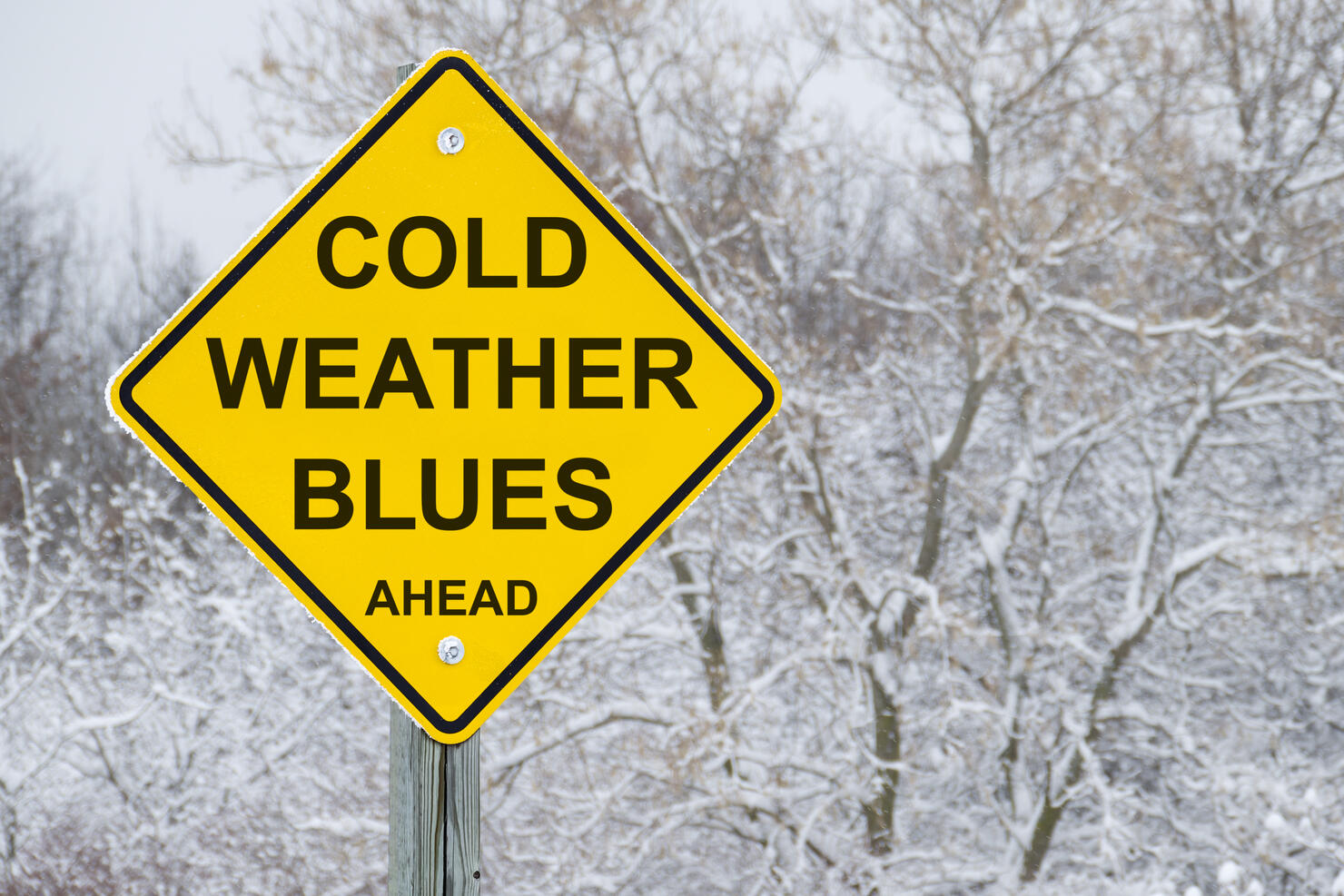 Cold Weather Blues Ahead Road Sign