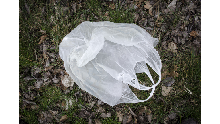 Discarded plastic bag