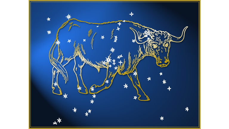 Taurus astrological sign