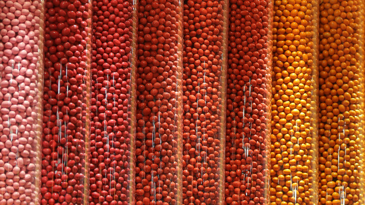 Man Breaks Guinness World Record By Stacking Five M&Ms