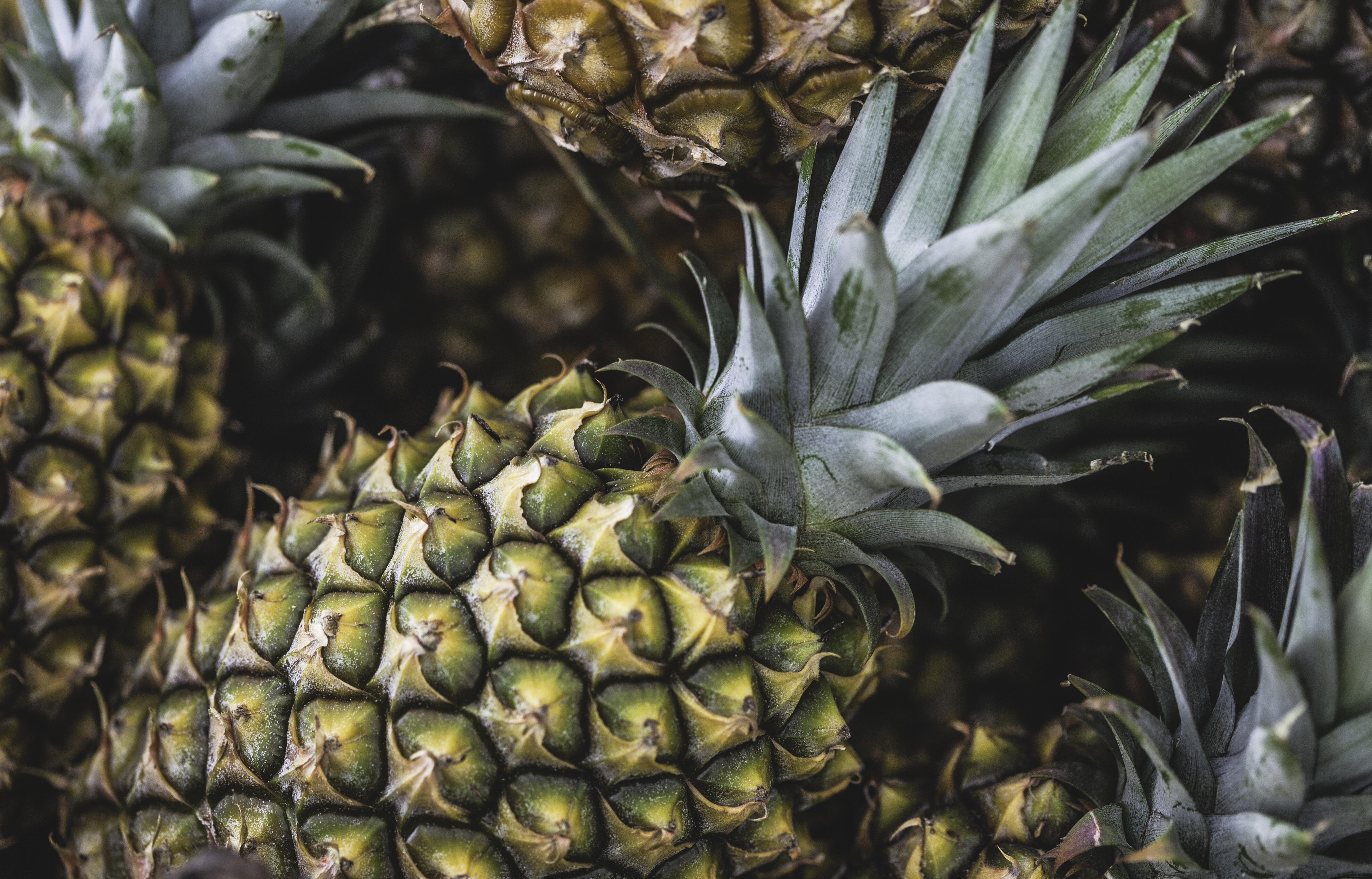 Wearing pineapple clothing is a subtle sign you're a swinger