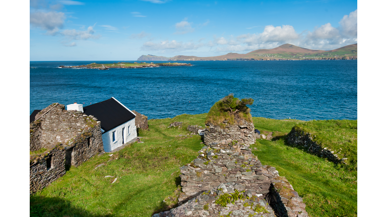 Leprechauns & Fairies