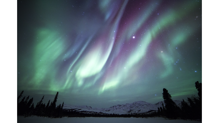 Northern Lights