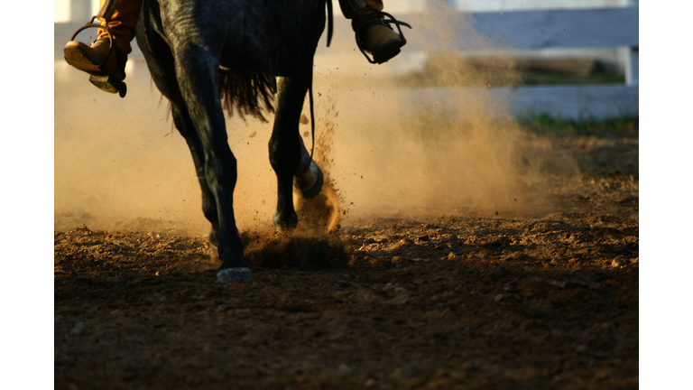 Galloping horse