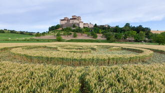 Crop Circles, Consciousness &  Phenomena
