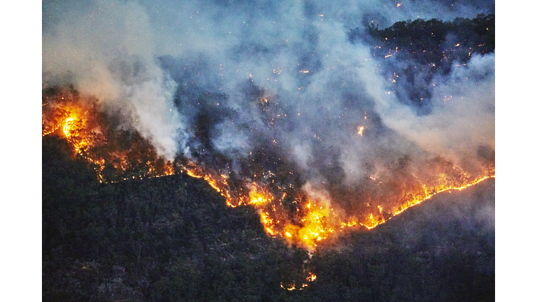 Fire front, wall of fire, line of fire, forest fire, bushfire in the valley, Blue Mountains, Australia