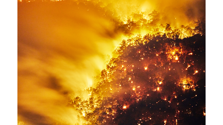 Extinction Events / Ghostly Phenomena