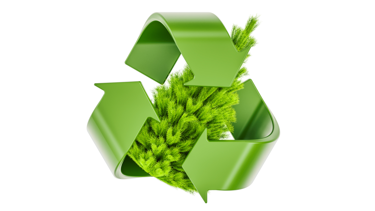 Recycle symbol with Christmas Tree. Recycle Christmas Tree concept, 3D rendering