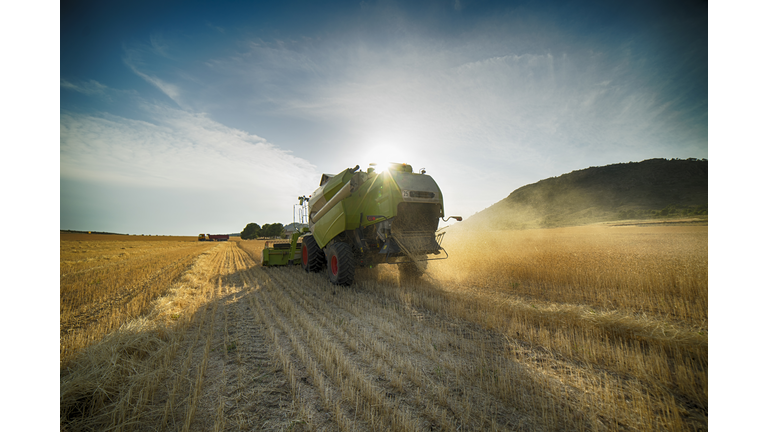 Combine harvester perspective from back view