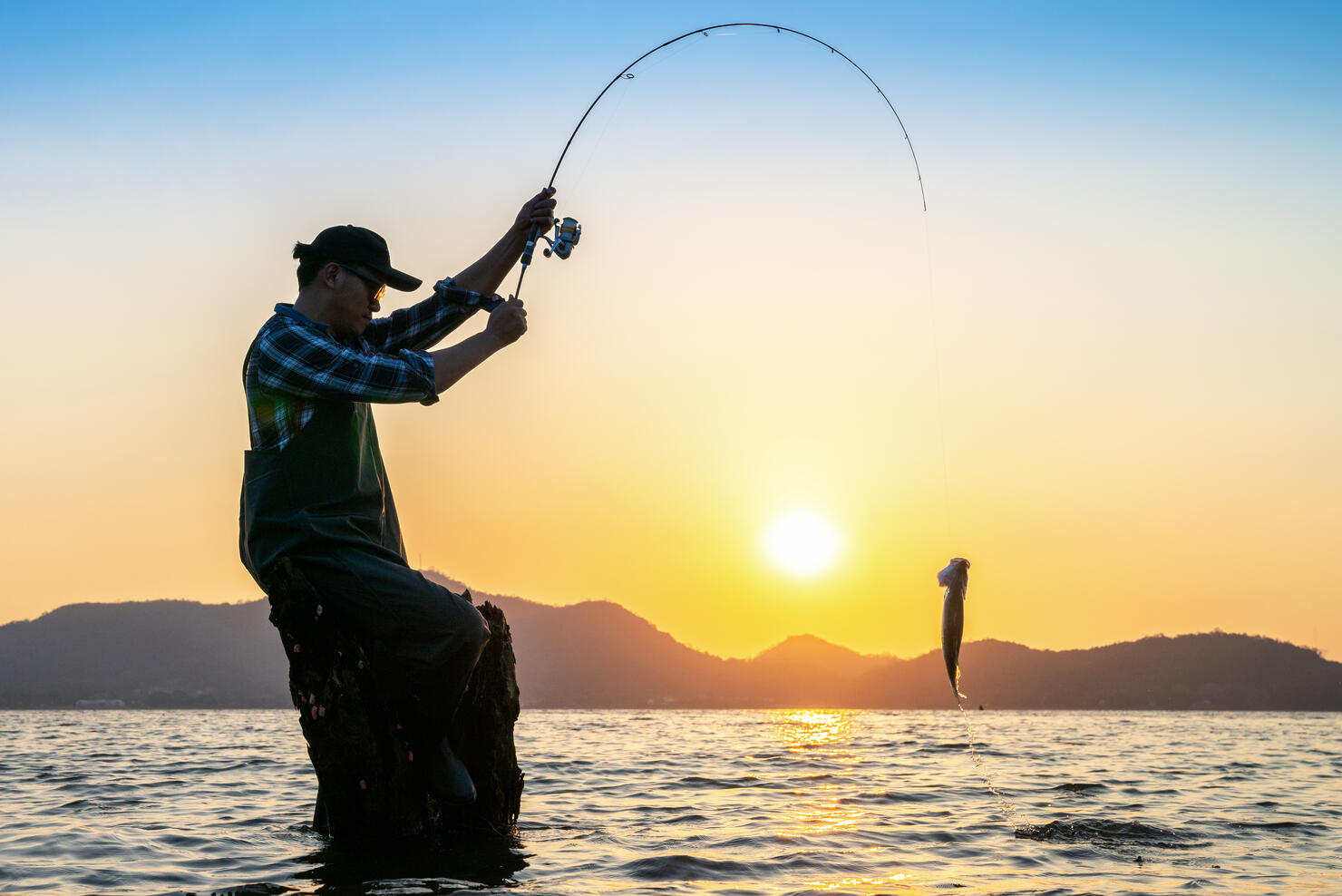 Man and a fishing rod looking out at fish after lifting up the fish from the water.