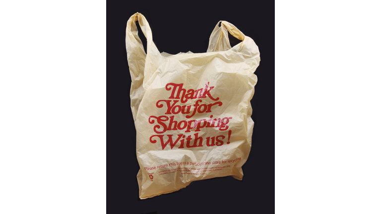 Thank You For Shopping With Us! Plastic Bag