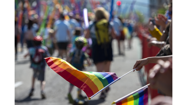 Pride Flags at the Parade