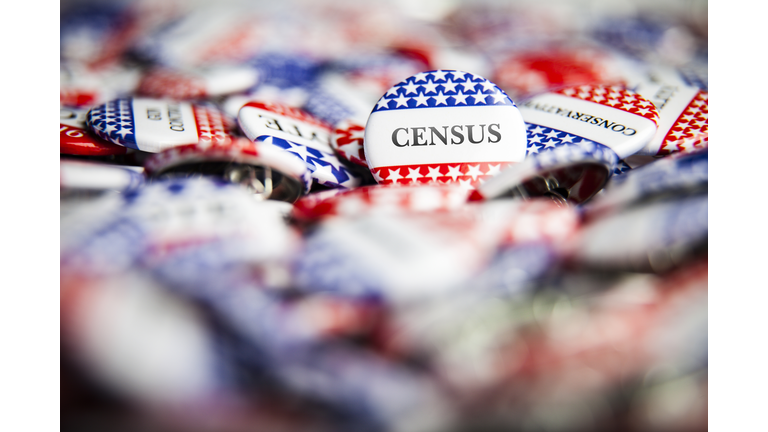 Political Button - Census