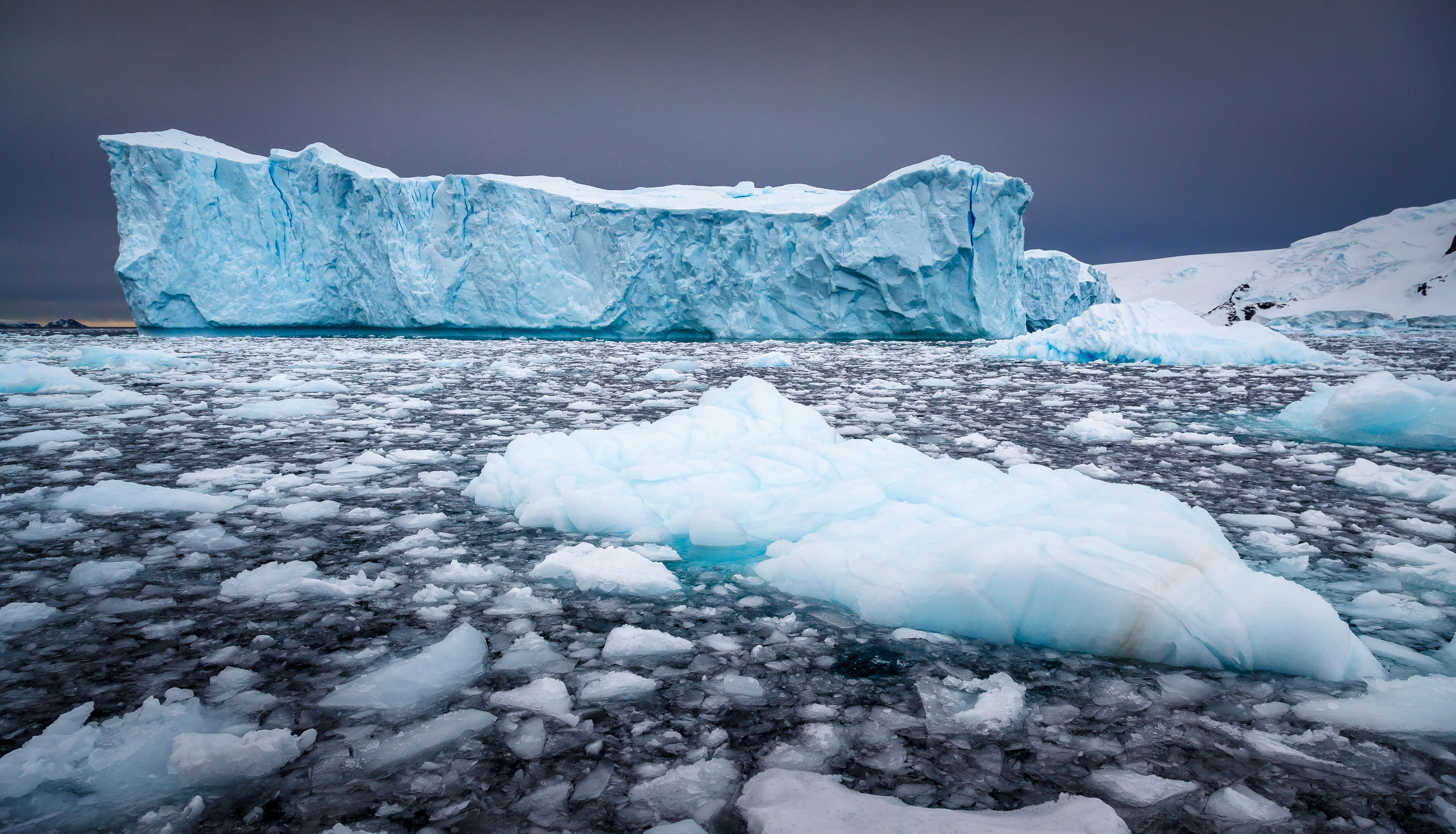 Самую большую площадь занимают ледники. Гренландия ледник Антарктида Арктика Гренландия. Арктика Антарктика Антарктида. Таяние ледников Антарктики. Антарктида Гренландия Арктика Северный Ледовитый океан.