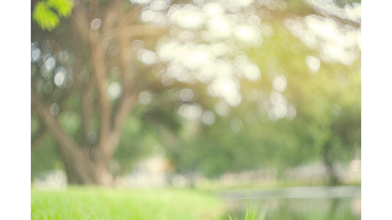 How to Restore Focus