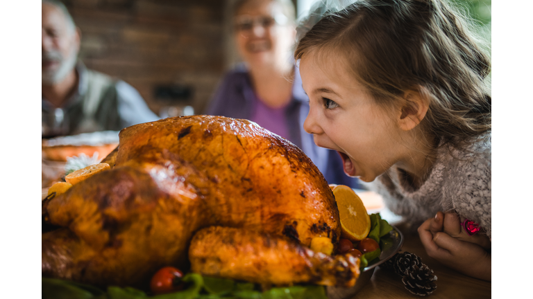 Small girl having fun while about to bite a roasted turkey on Thanksgiving.