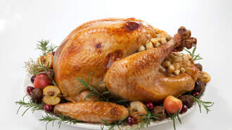 Clearwater Man Thaws Thanksgiving Turkey In Backyard- Goes Viral