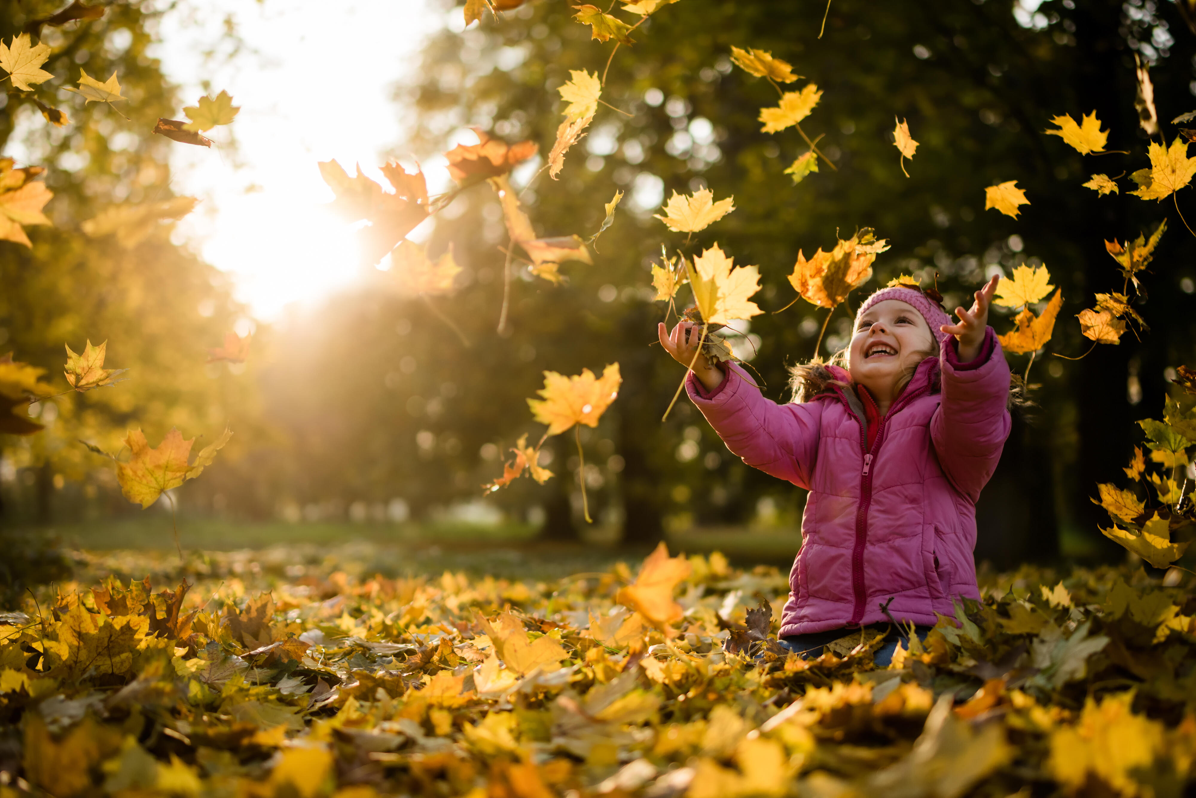 What Causes Leaves To Change Color? - Farmers' Almanac