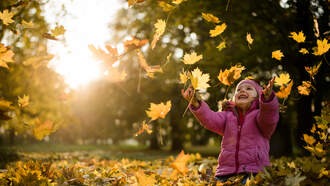 Where And When To See Leaves Change Their Color In Kentucky