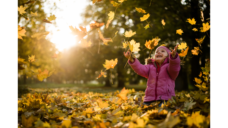 Playful kid throwing up leaves in park
