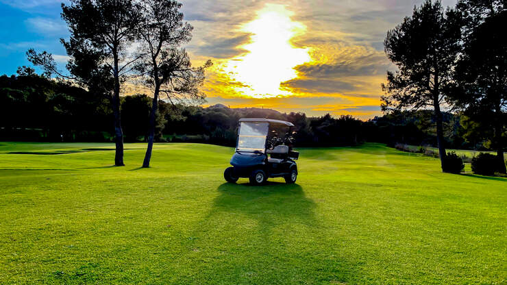 Naked woman drives golf cart through armed standoff 