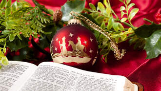 A Modern Parable - The Man and The Birds