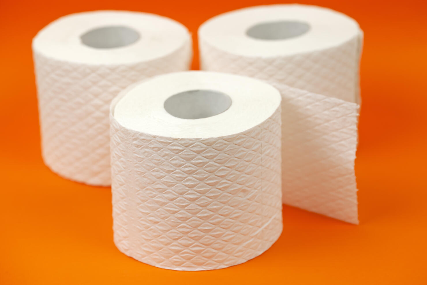 Rolls toilet paper. Toilet Tissue Rolls