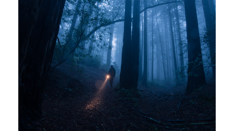 Man Holding Illuminated Flashlight By Trees In Forest