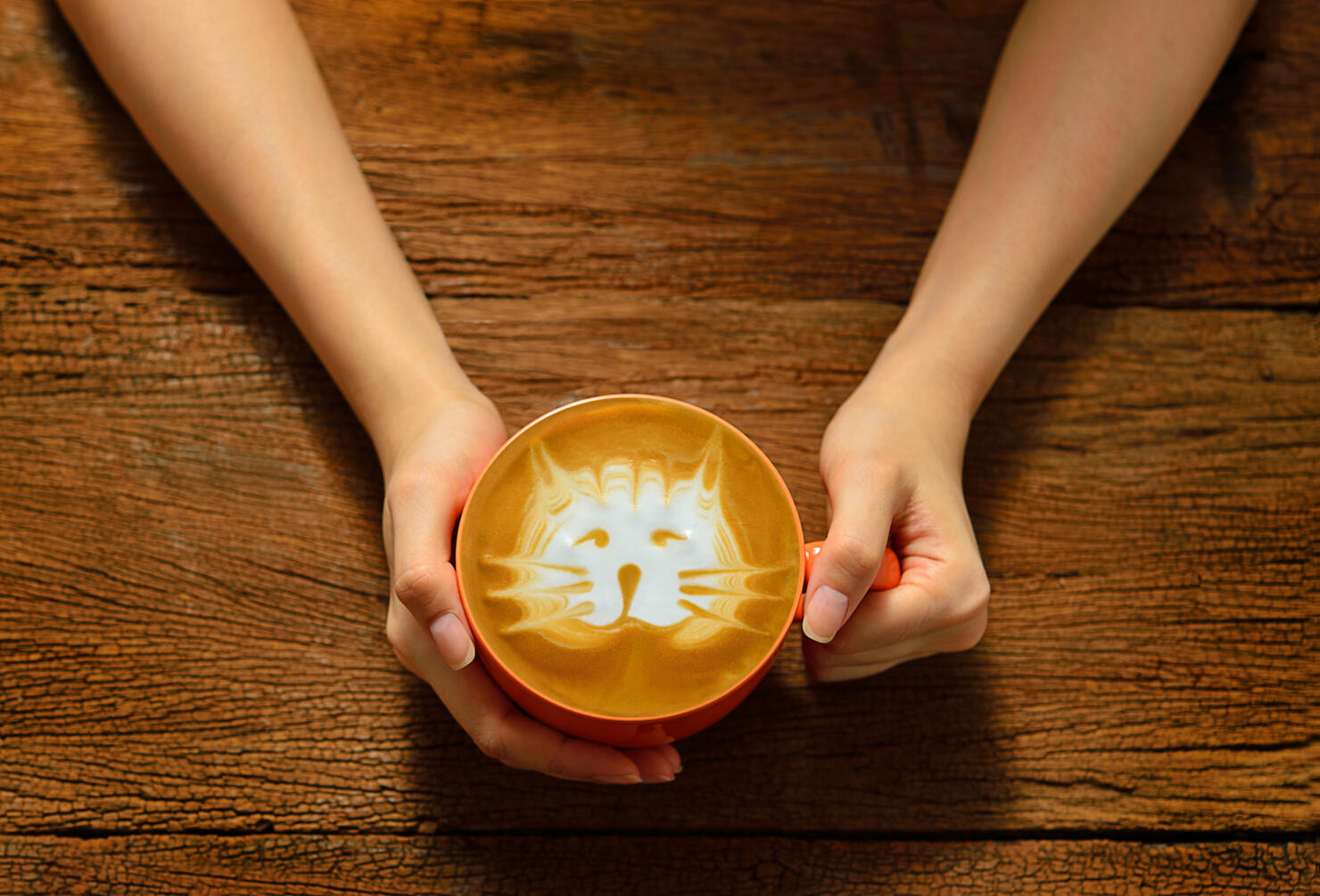 Cup of coffee