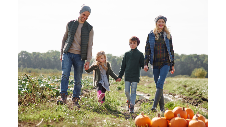 Couple holding hands with son and daughter in pumpkin patch field