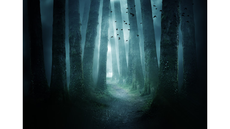 Mysterious Disappearances