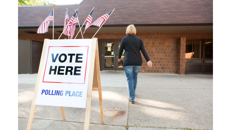 USA Election Voter Going to Polling Place Station Hz