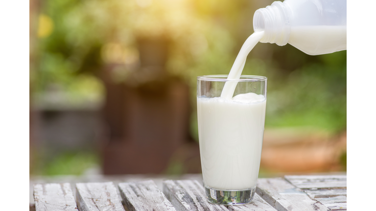 Pouring milk in the glass on the background of nature.