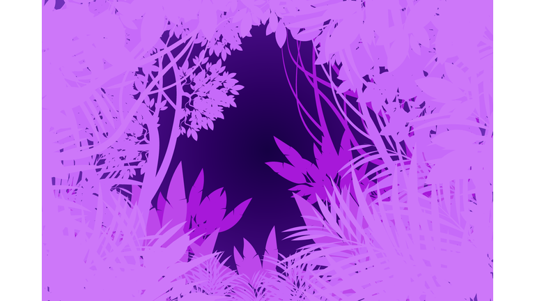 Earth & Eden / Meier Prophecies