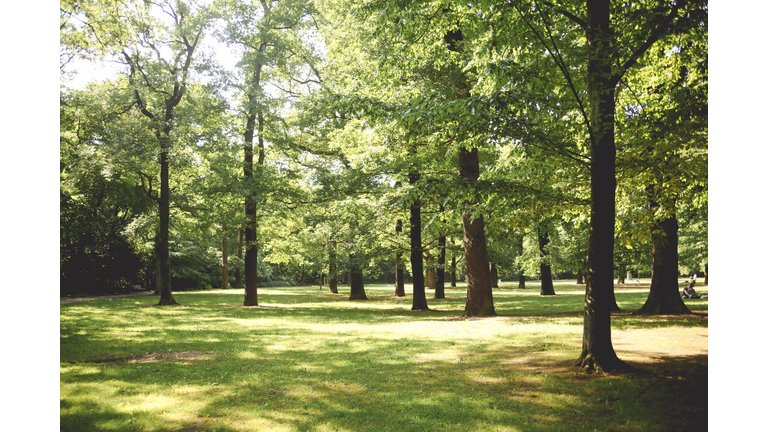 Streetpark in Berlin