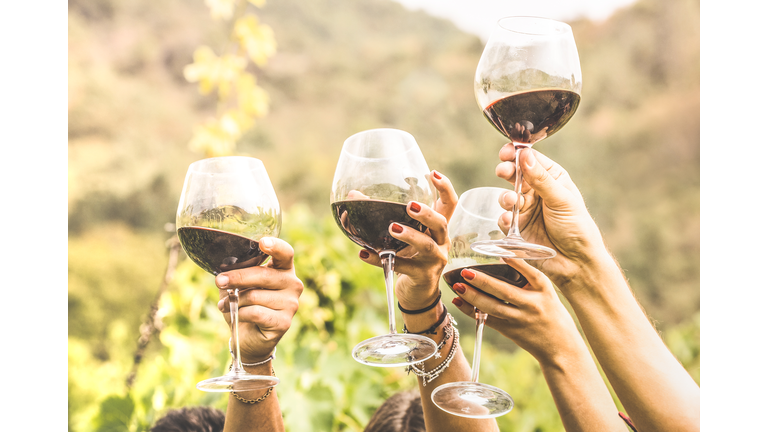 Hands toasting red wine glass and friends having fun cheering at winetasting experience - Young people enjoying harvest time together at farmhouse vineyard countryside - Youth and friendship concept