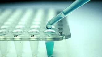 Regenerative Medicine / Dulce Base